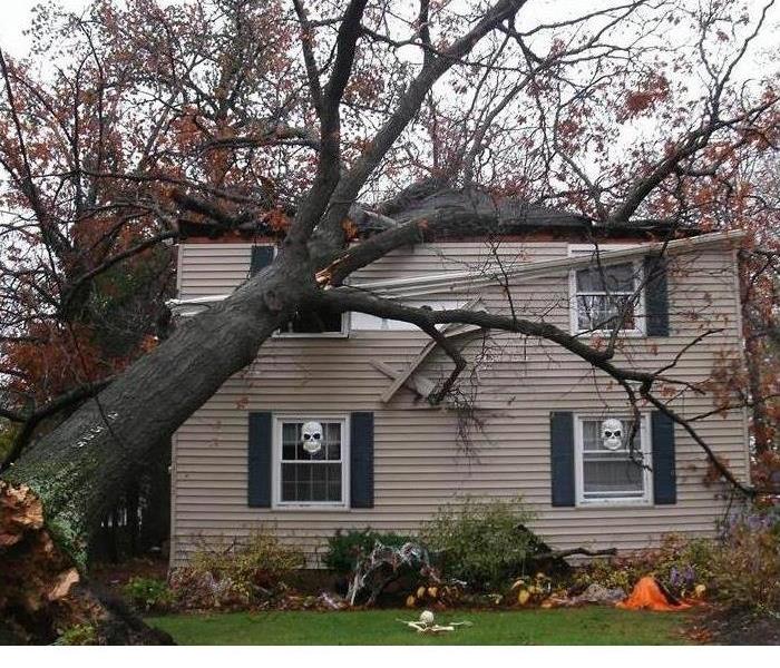 Tree Falling on House